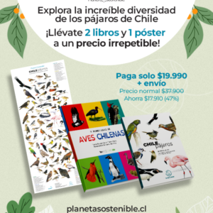 Pack – Chile pájaros