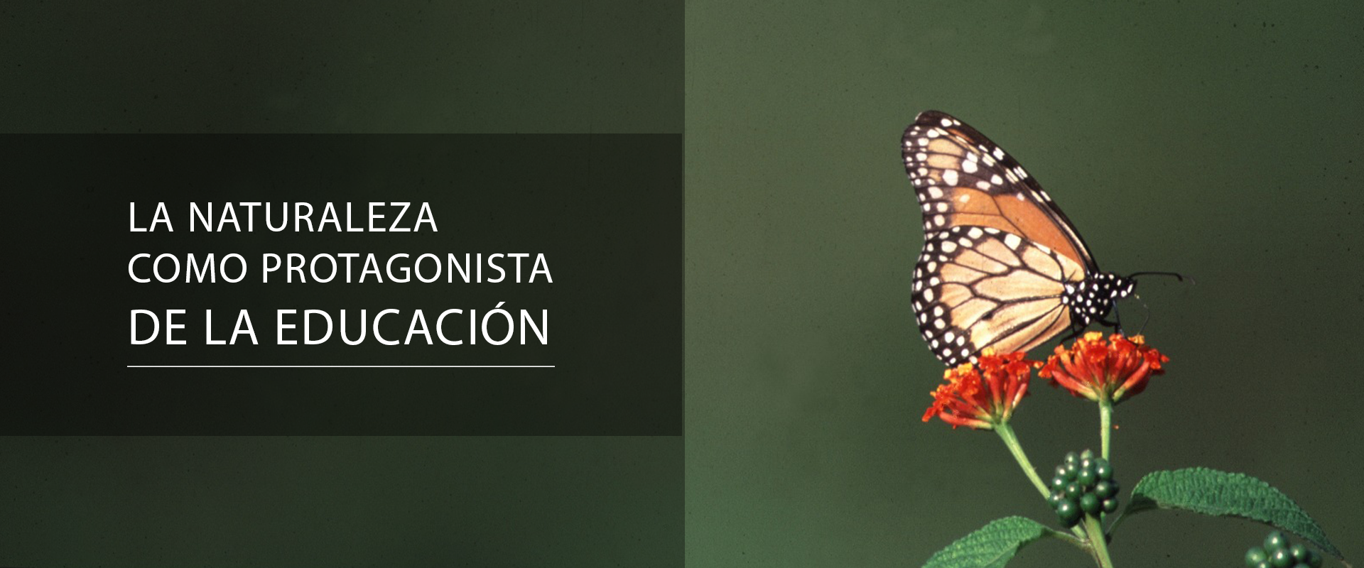 Planeta Sostenible