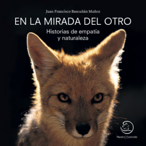 En la mirada del otro