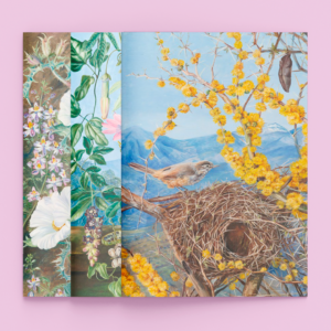 Set de 3 libretas de notas Marianne North