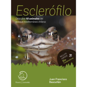 Esclerófilo. Descubre 10 animales del bosque mediterráneo chileno