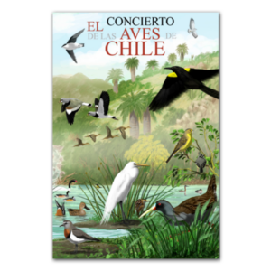 CD El concierto de las aves