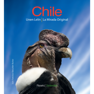 Chile Unen lelin, La mirada original