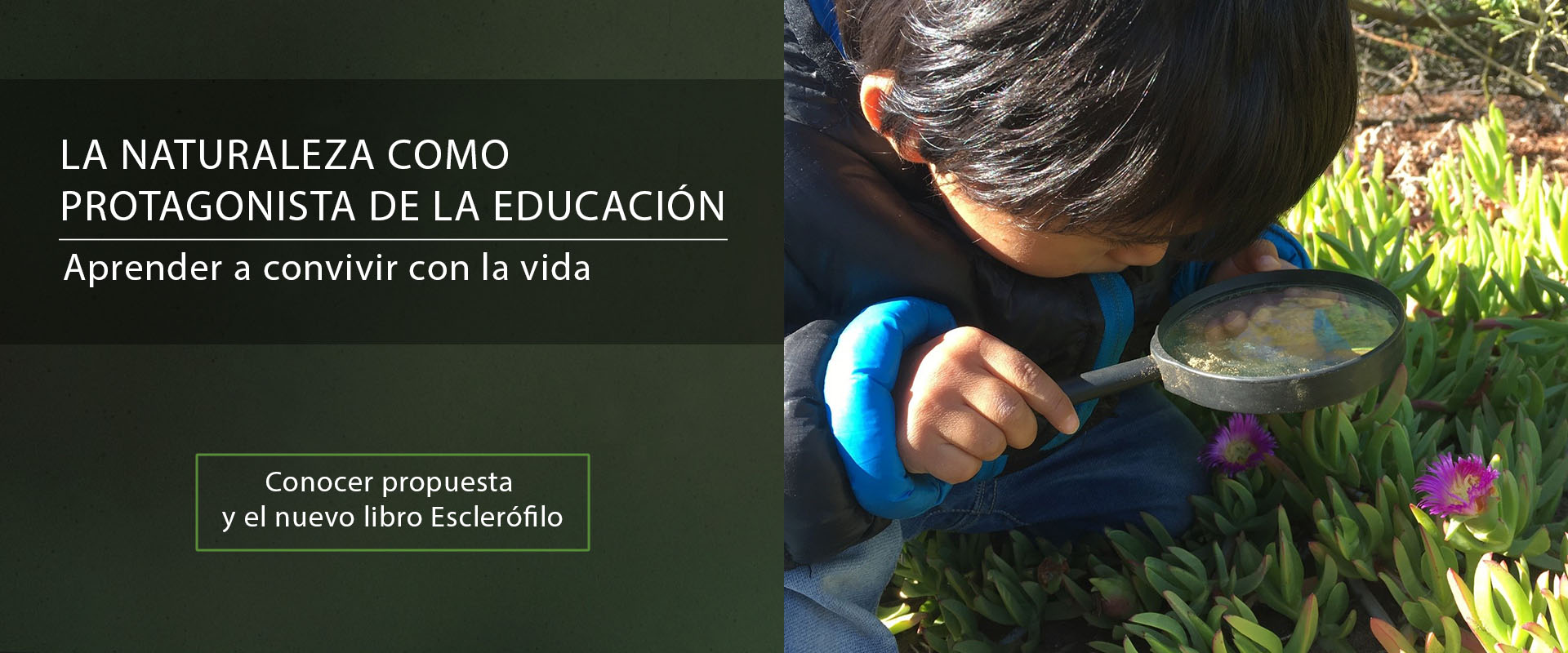 Planeta Sostenible